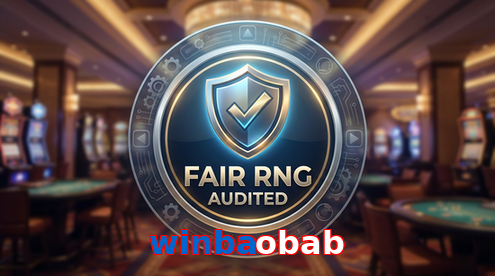Payment and PKR controls in Winbaobab